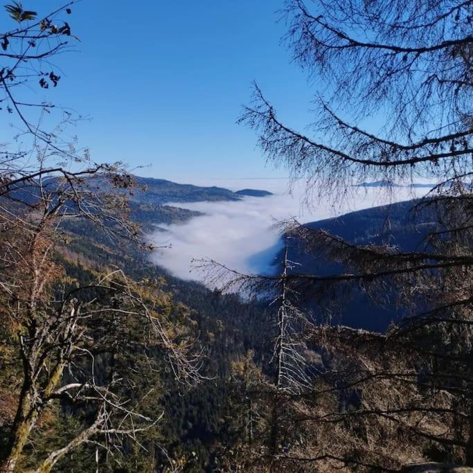 Aux Balcons De La Vallee Soultzeren